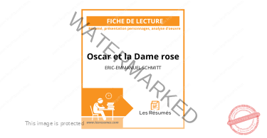 Illustration de la couverture de la fiche LesRésumés.com dédiée à Oscar et la Dame rose d'Eric-Emmanuel Schmitt.